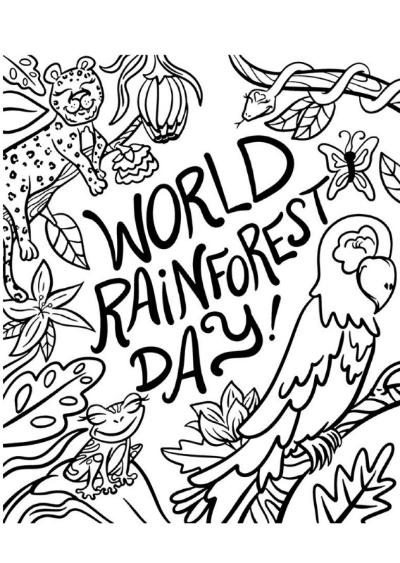 World Rainforest Day Celebration Coloring Page