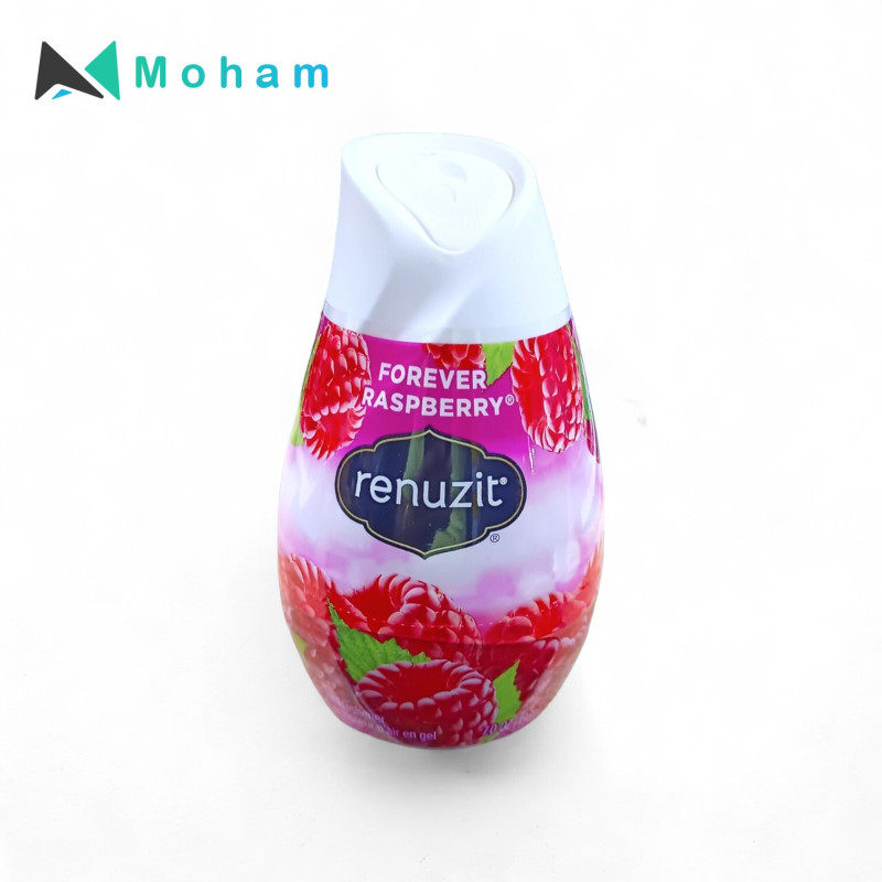 RENUZIT AIR FRESHNER ADJUSTABLE RASPBERRY 198G