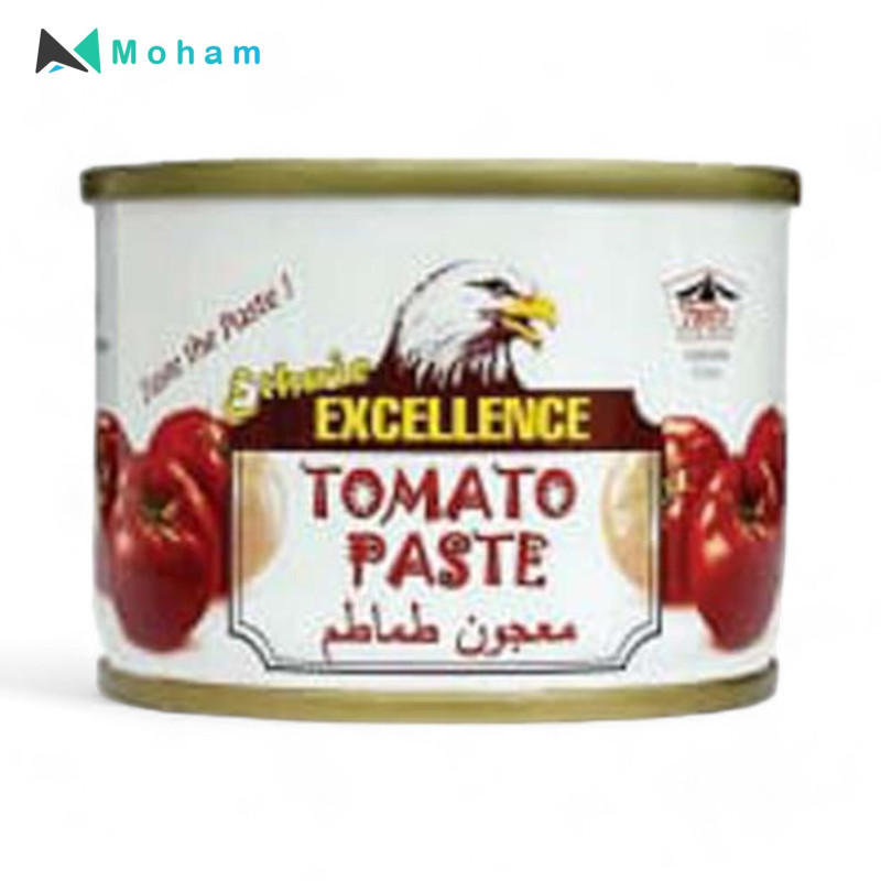 Ethnic Excellence Tomato Paste Tin-70g